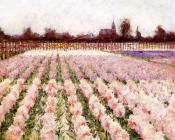 Field of Flowers - 乔治·希区柯克